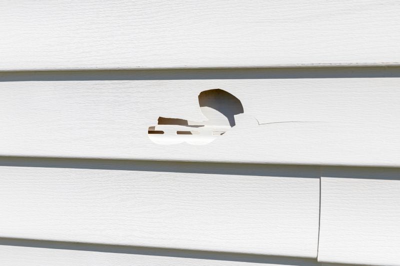 Sealing Cracks in Vinyl Siding